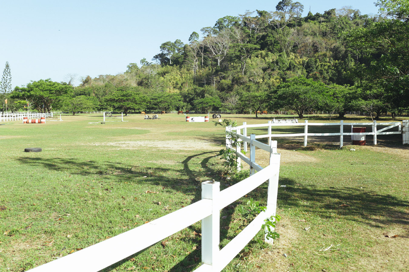 A Refreshing Outdoor Wedding At El Kabayo Stables The Philippines